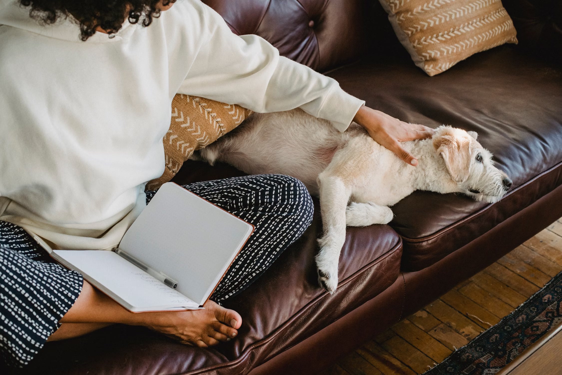 Owner writing in a notebook while petting a dog