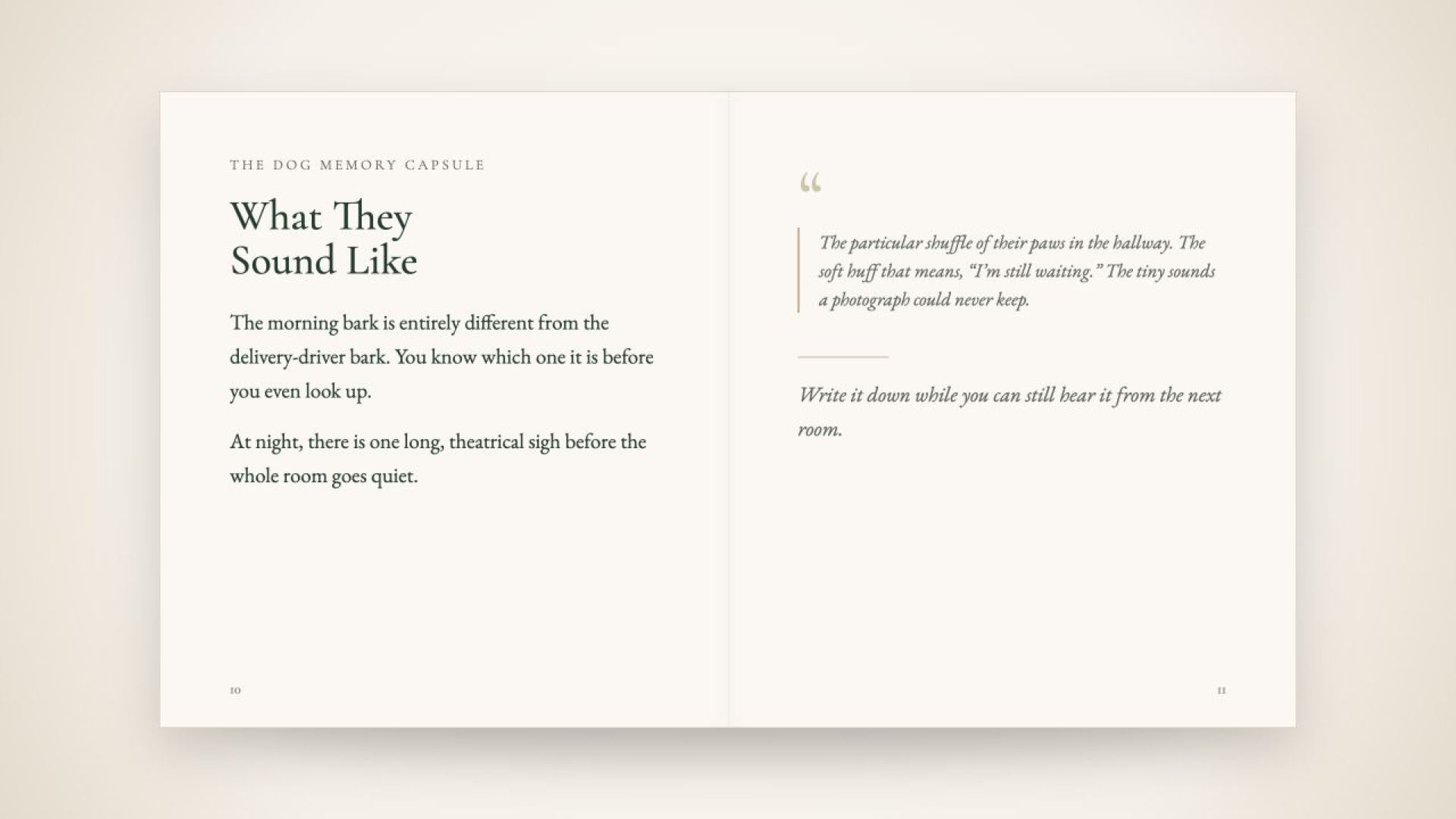 Sample text interior page